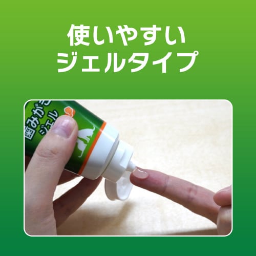 PETKISS 歯みがきジェル アップル