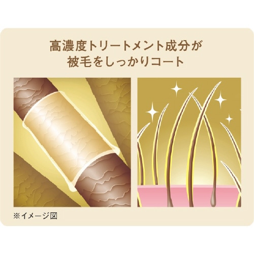 クイック&リッチ トリートメントインシャ