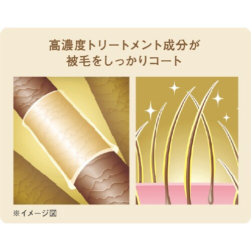 クイック&リッチ トリートメントインシャ