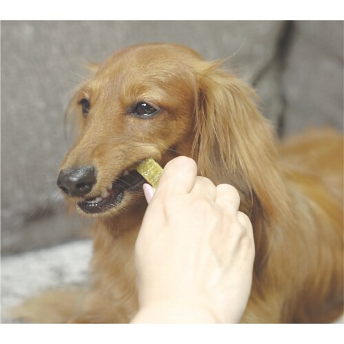 PETKISS ワンちゃんの超歯みがきお×3