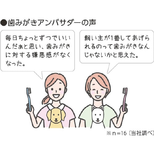 PETKISS ワンちゃんの超歯みがきお×3