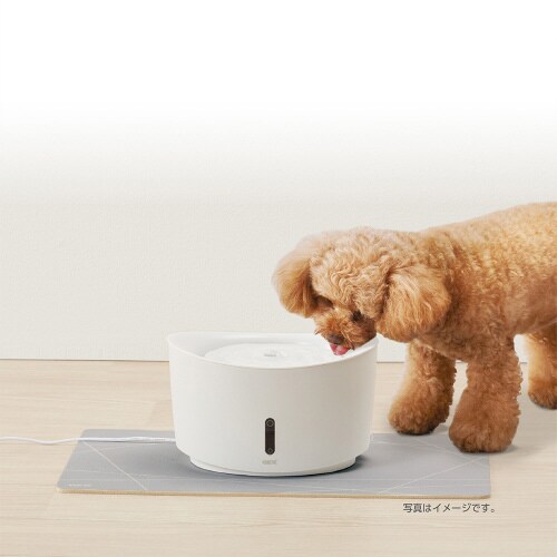 ピュアクリスタル ずれない吸水マット