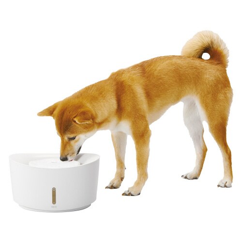 ピュアクリスタル ウェル 2.5L 犬用