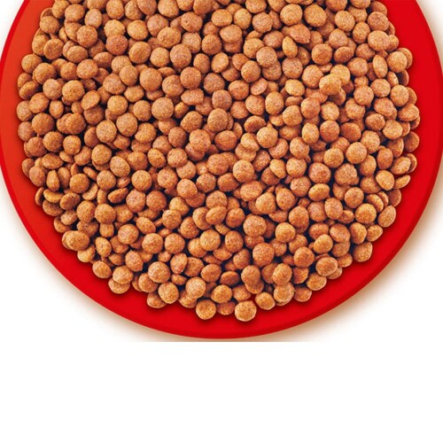 CIAO CozyLifeクランキー ま