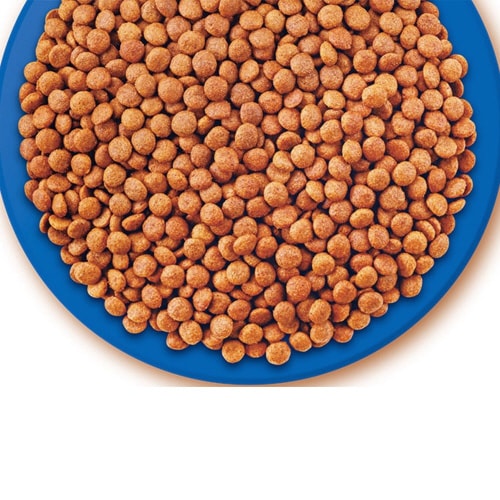 CIAO CozyLifeクランキー か