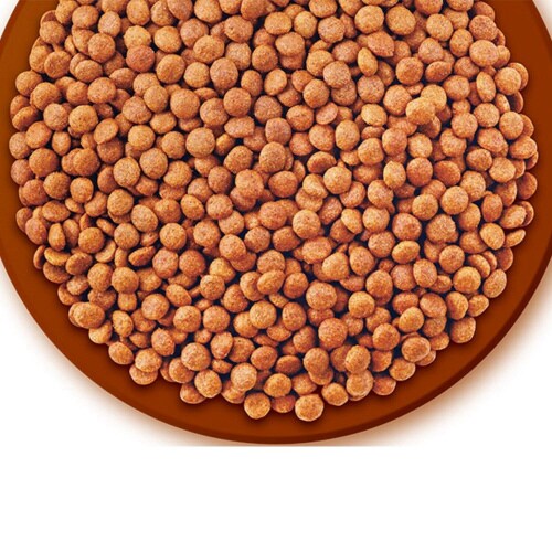 CIAO CozyLifeクランキー チ