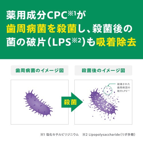 GUMデンタルペースト120G