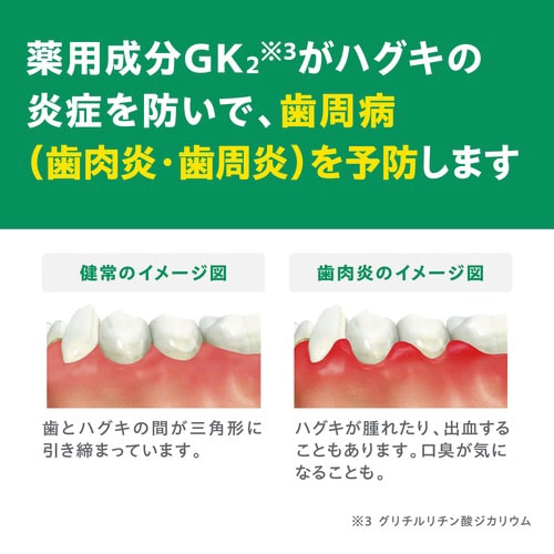 GUMデンタルペースト155G