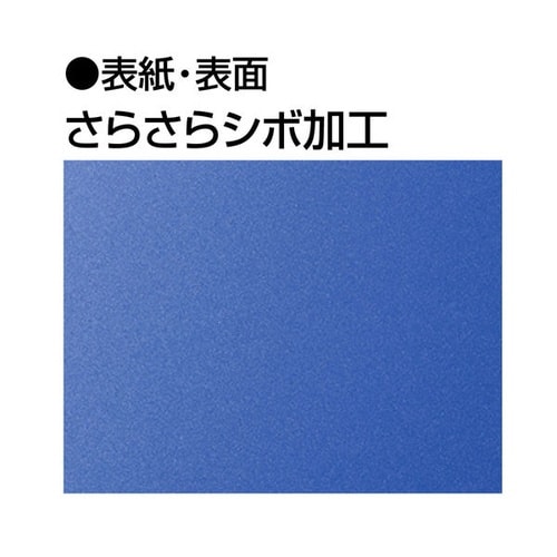 クリヤーブック グラッセル A4 100枚ブラック