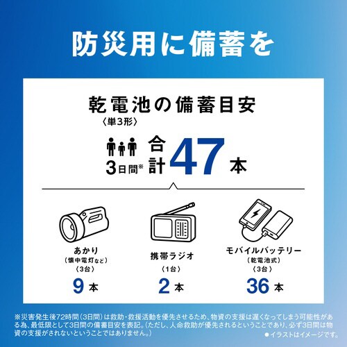 アルカリ乾電池 エボルタネオ 単3 40本入