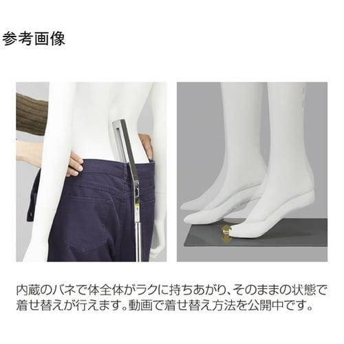 婦人腰受マネキン 白 ABS製 61−8