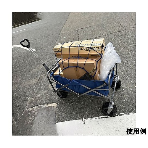 450x800mm/60kg キャリーカ