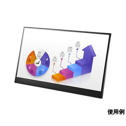 15.6インチ モバイルディスプレイ(タ