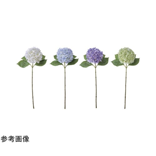 ボヌールハイドレンジア ライトグリーン