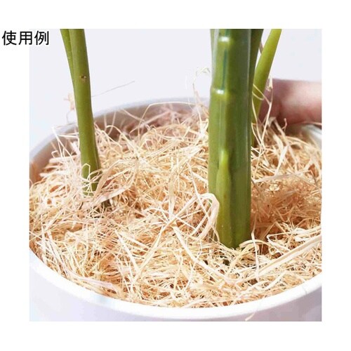 フェイクグリーンポットフィロデンドロン・