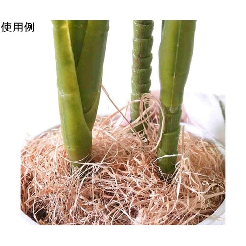 フェイクグリーンポット ダンドク 55−