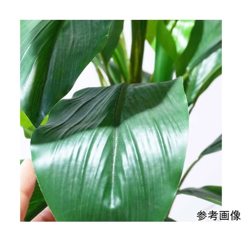 フェイクグリーンポット ダンドク 55−