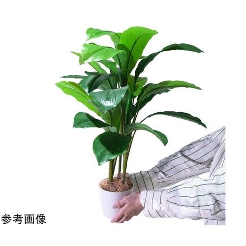 フェイクグリーンポット ダンドク 55−