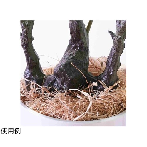 フェイクグリーンポット アセビ 55−2