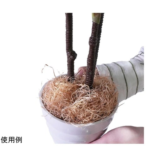 フェイクグリーンポット オリヅルラン 5