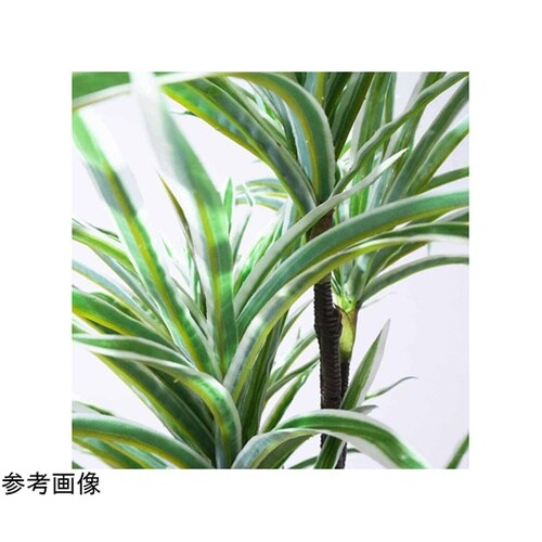 フェイクグリーンポット オリヅルラン 5