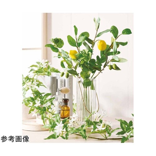 シチリアンバンドル 1束 55−24−2