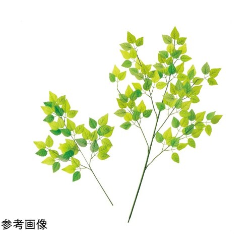 グリーンリーフ 大枝 6本 55−24−