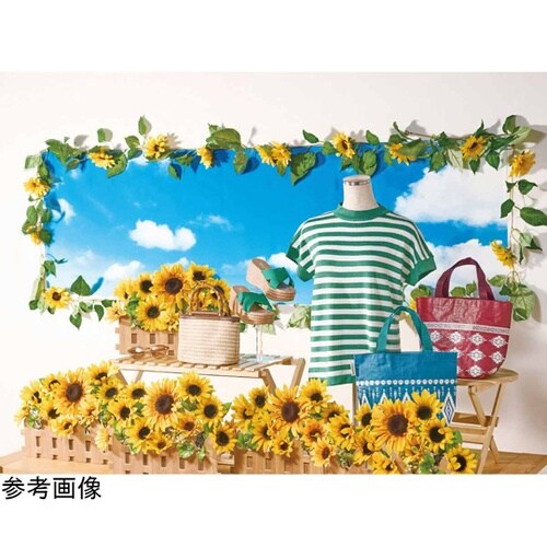 ディスプレイシート 空 55−33−2−