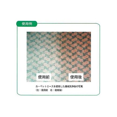 500mL カーペットしみとり剤(バイオ