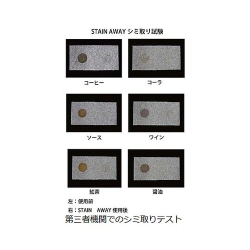 500mL カーペットしみとり剤(バイオ