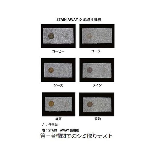 4L カーペットしみとり剤(バイオ) E