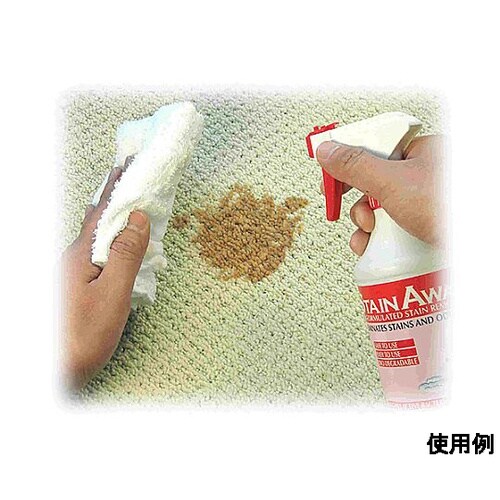 4L カーペットしみとり剤(バイオ) E