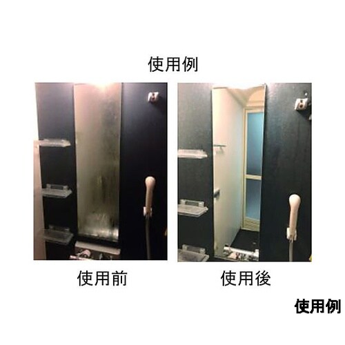 260g ガラス洗浄剤(コーティング剤入