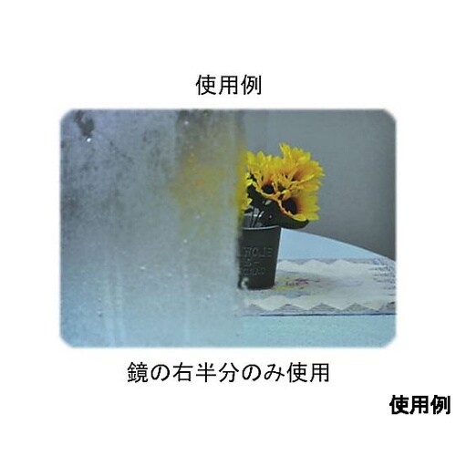 260g ガラス洗浄剤(コーティング剤入