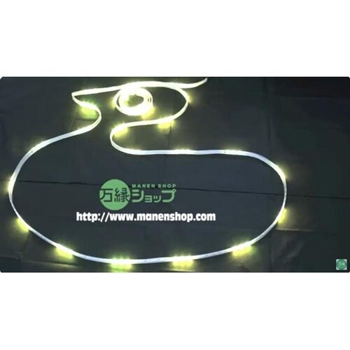 LEDテープライト 5050型 270球