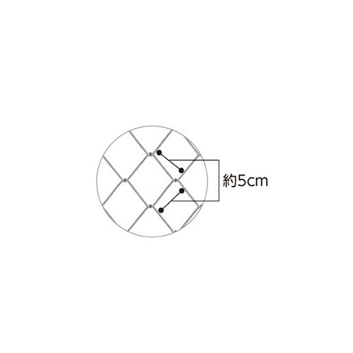 フェンスフレーム HSIL フェンスあり