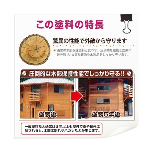 17670620000 キシラデコール