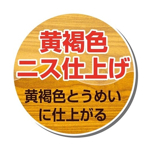 327643762300 セラックニスA