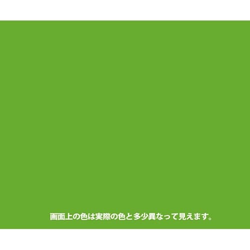 507650862420 カラースプレー