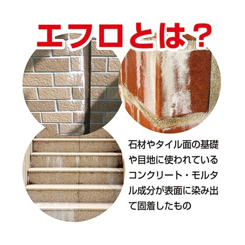 17660061020 復活洗浄剤