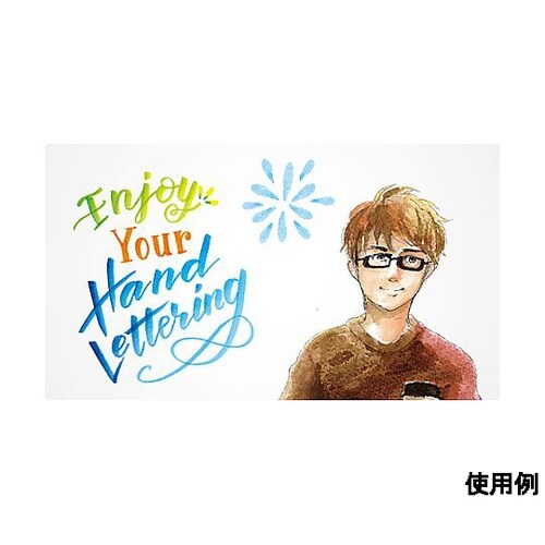 12本 水性・筆ペンセット(太/細両用)