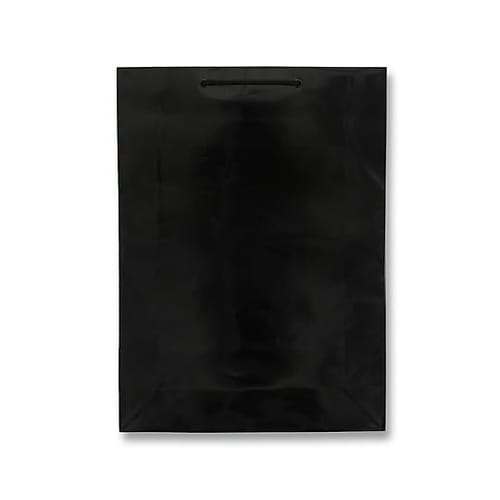 380x120x520mm 紙袋(フィル