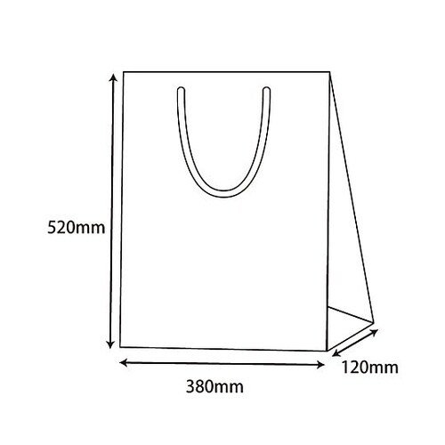 380x120x520mm 紙袋(フィル