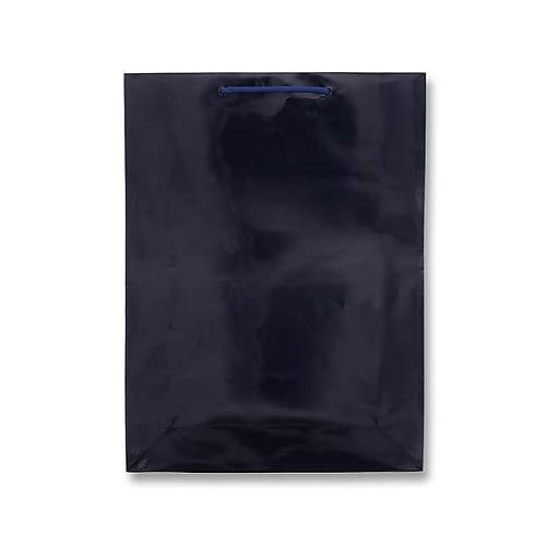 380x120x520mm 紙袋(フィル