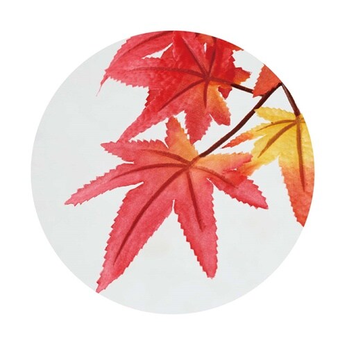 ナチュラル紅葉立ち木【天然木】 150c
