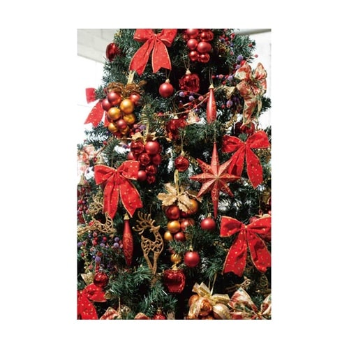 バリュースクエアポットツリーセット レッ