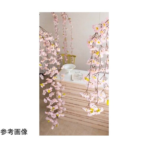 特大シダレ桜大枝 150cm 23−4−