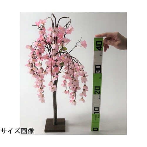 シダレ桜立ち木 H58cm(天然木使用)