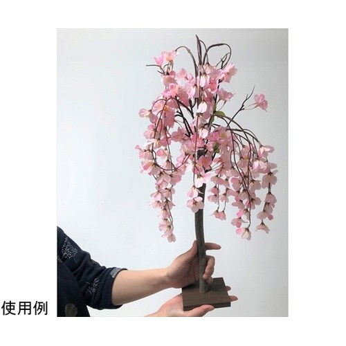 シダレ桜立ち木 H58cm(天然木使用)
