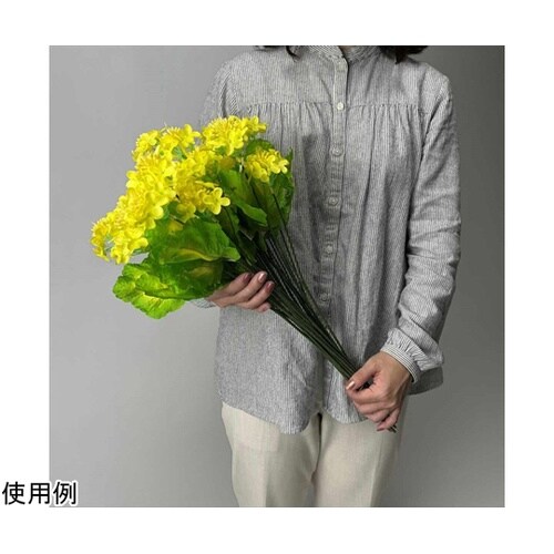 菜の花スプレー50cm 24本組 23−